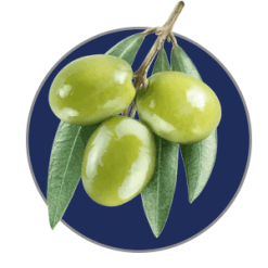 خرید زیتون